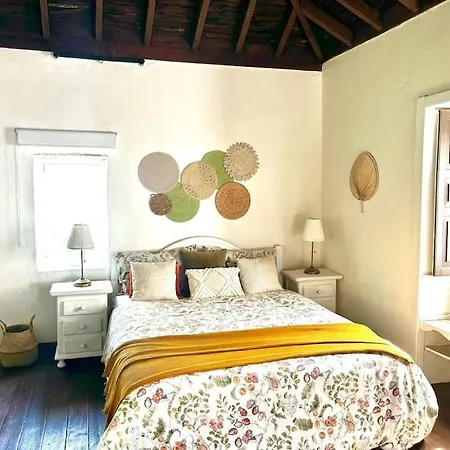 Matos, Canarian House In