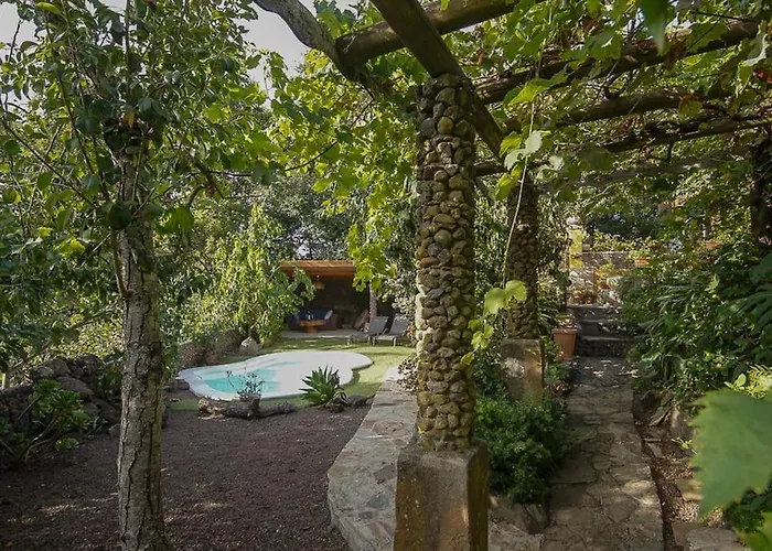 Matos, Canarian House In