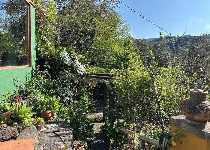 シャレー Matos, Canarian House In Valleseco